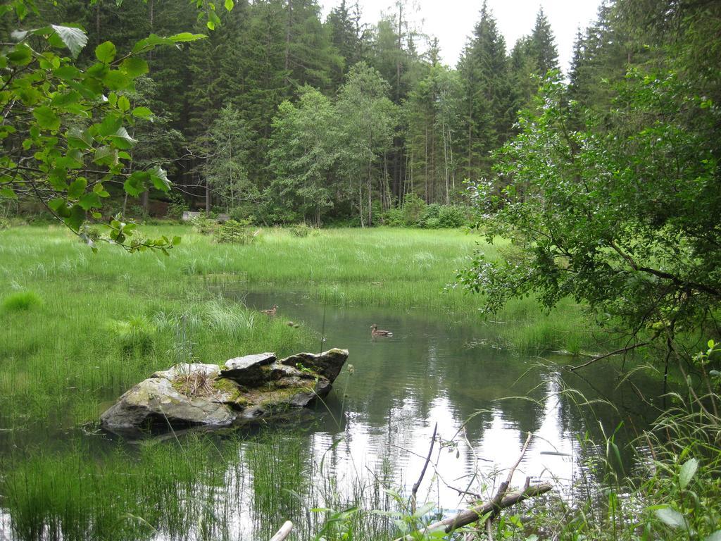 Landhof Adlerhorst Daire Heiligenblut Oda fotoğraf
